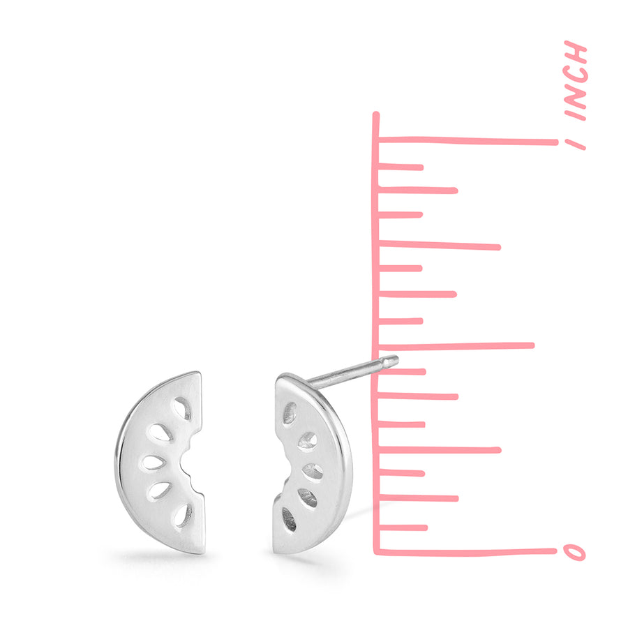 Studs Earring (ES 2659)